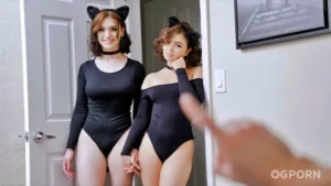 Take Us To The Party, Stepbro by Gracie Gates and Leana Lovings